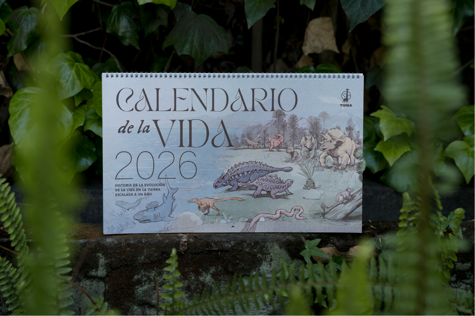 Calendario de la Vida 2026