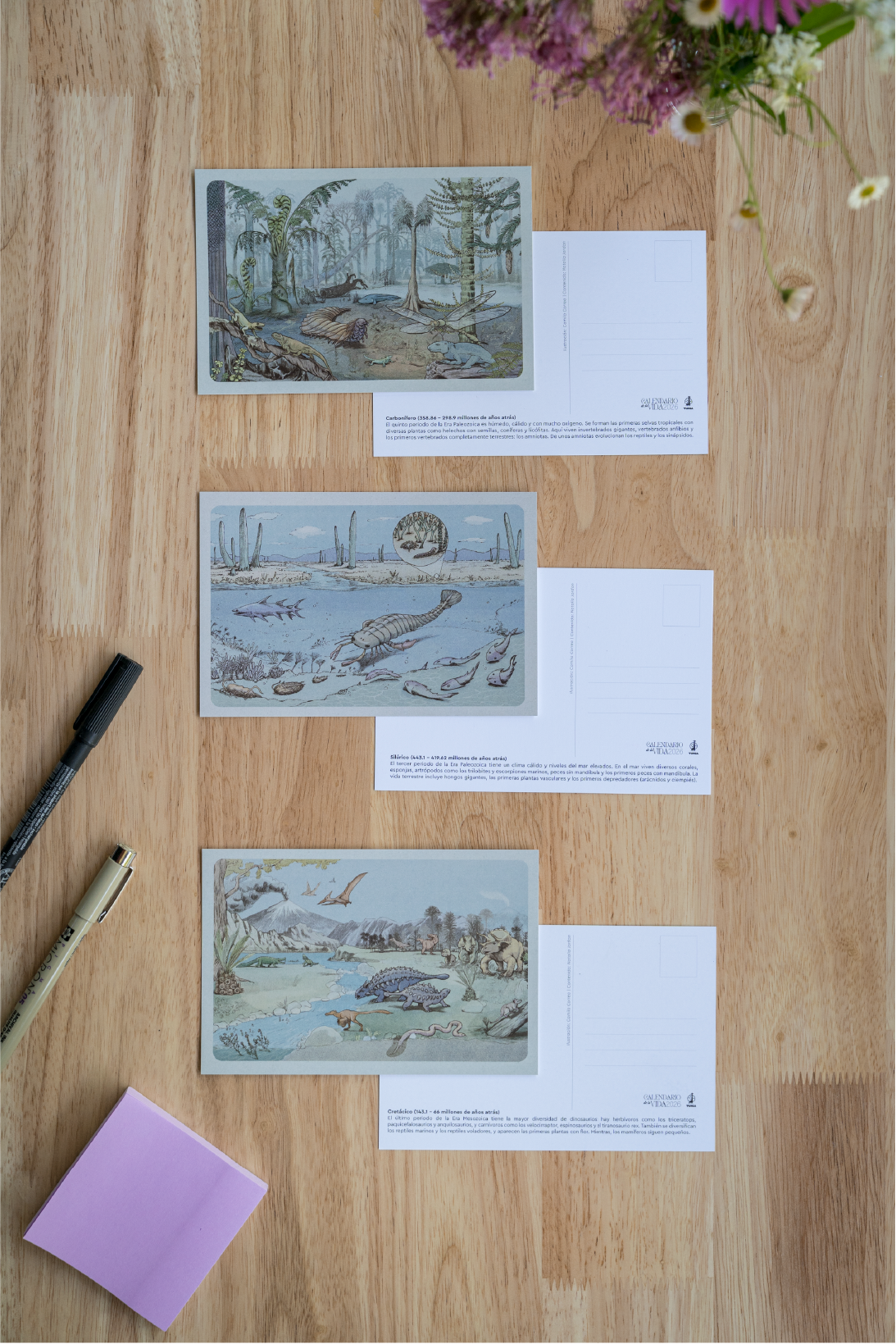 Postales Calendario de la Vida (pack de 3)