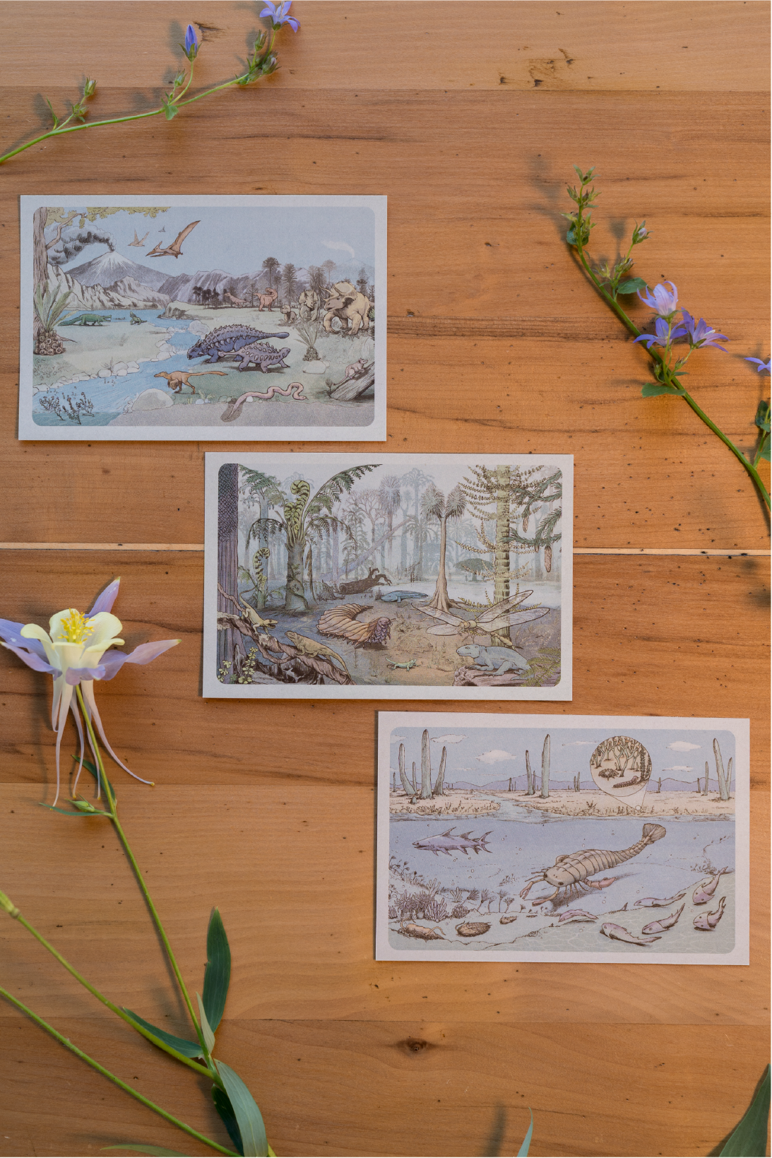 Postales Calendario de la Vida (pack de 3)