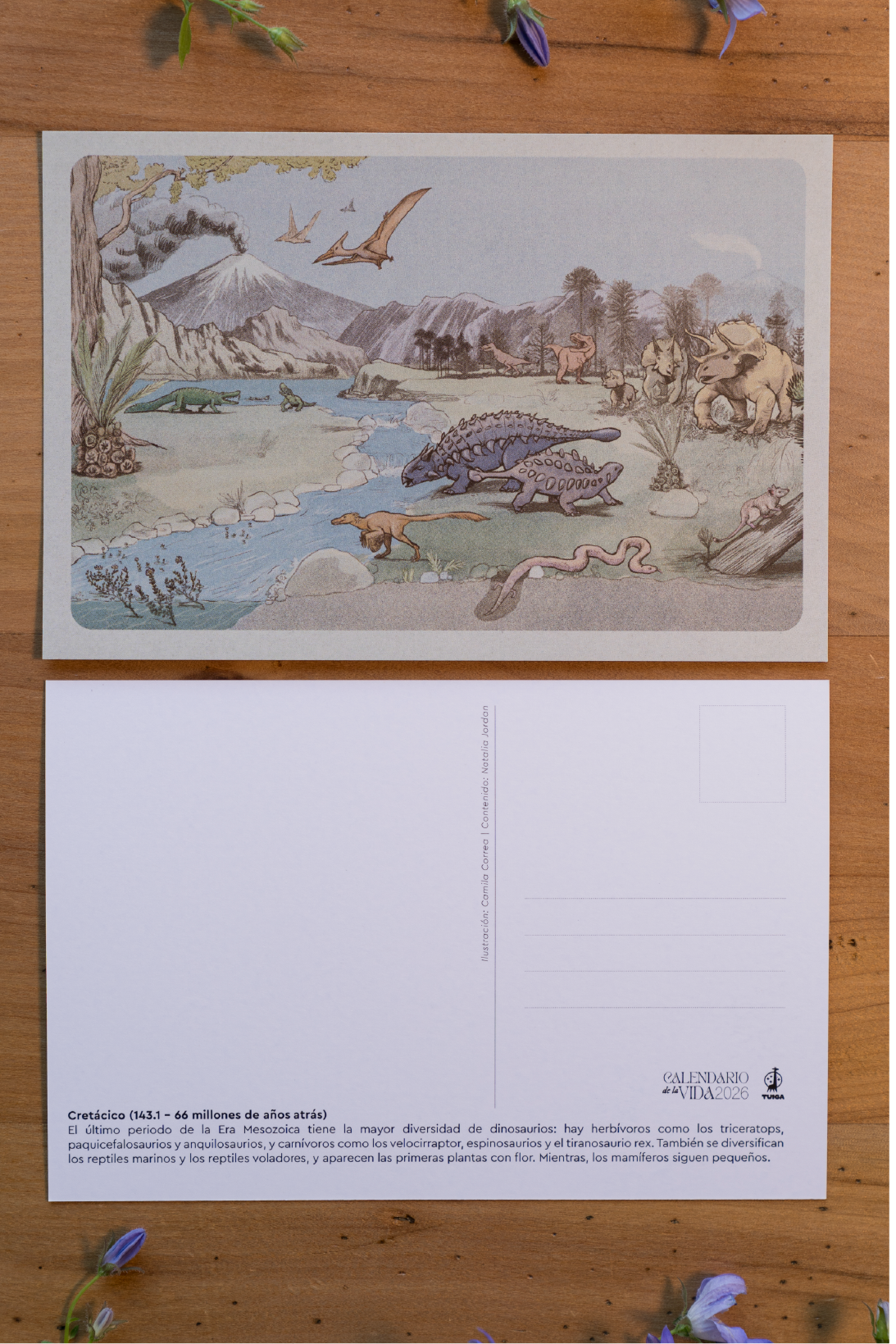 Postales Calendario de la Vida (pack de 3)