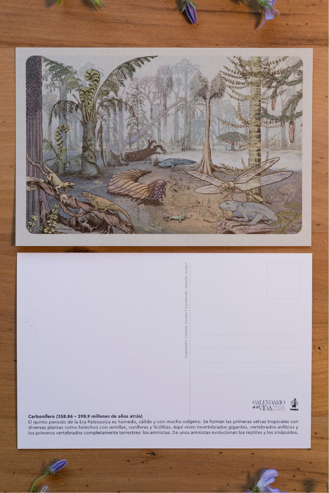 Postales Calendario de la Vida (pack de 3)