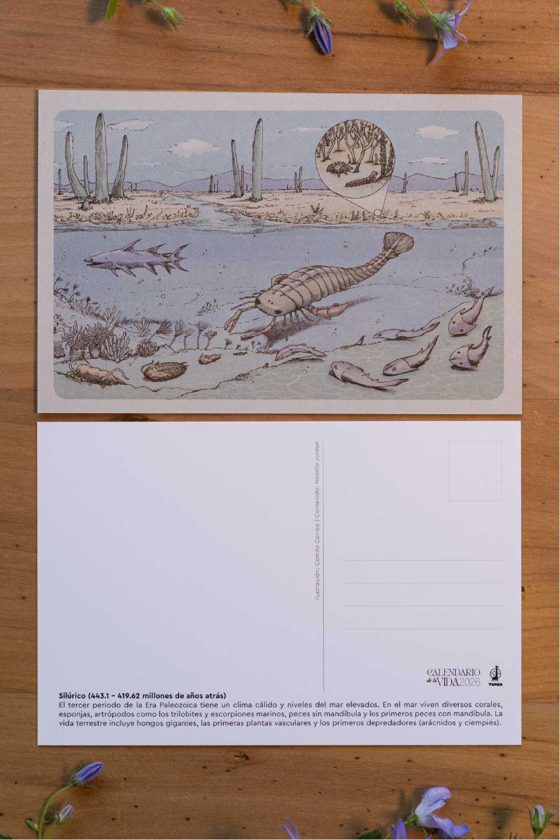 Postales Calendario de la Vida (pack de 3)