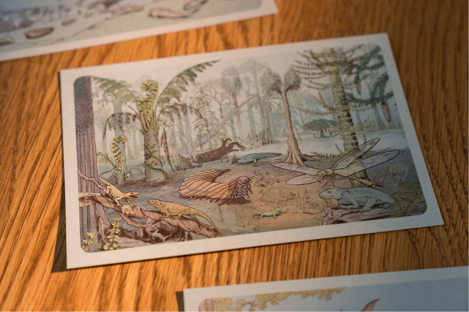 Postales Calendario de la Vida (pack de 3)