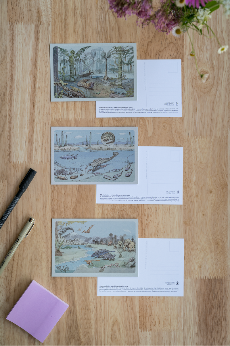 Postales Calendario de la Vida (pack de 3)