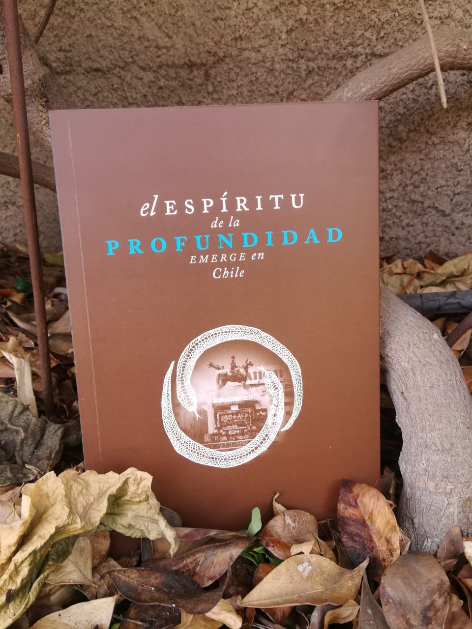 Libro "El Espíritu de la profundidad emerge en Chile"